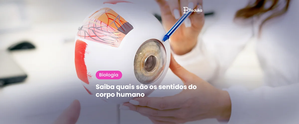 Saiba quais são os sentidos do corpo humano